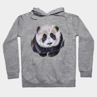 Panda Hoodie